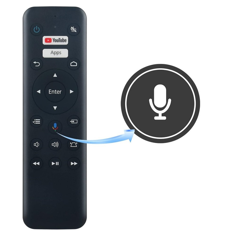 Voice Remote Control WH-55 Replacement for Epson Projector