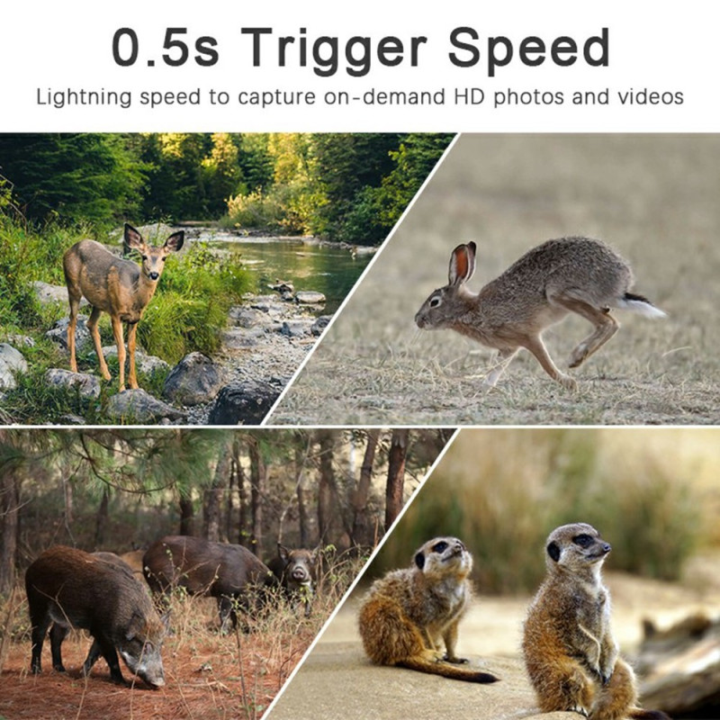 Seuraa villieläimiä, villieläimiä, metsästyskameraa, 4G-etävalvontaa, langatonta polkukameraa