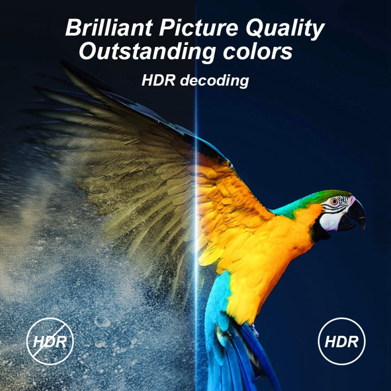 H20 Pro Smart TV Box Android 10.0 6K Ultra HD Media Player med fjernkontroll