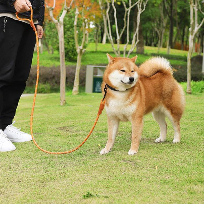 DUOMM Nylon Dog Leash Handle Pet Traction Rope for Dog