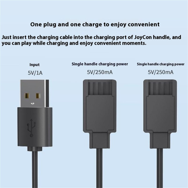 2 in 1 Charging Cable Compatible with Nintendo Switch Joy-Con 2.5m Extended USB Charger Cord