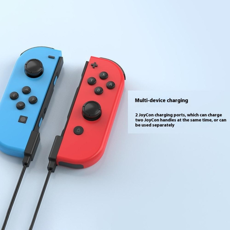 2 in 1 Charging Cable Compatible with Nintendo Switch Joy-Con 2.5m Extended USB Charger Cord