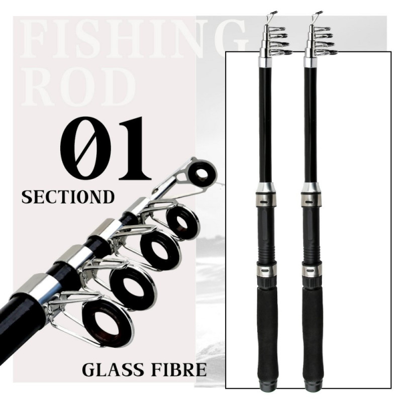 2 Fishing rods + accessories fishing rod 1.8 m telescopic rod fishing gear with reel