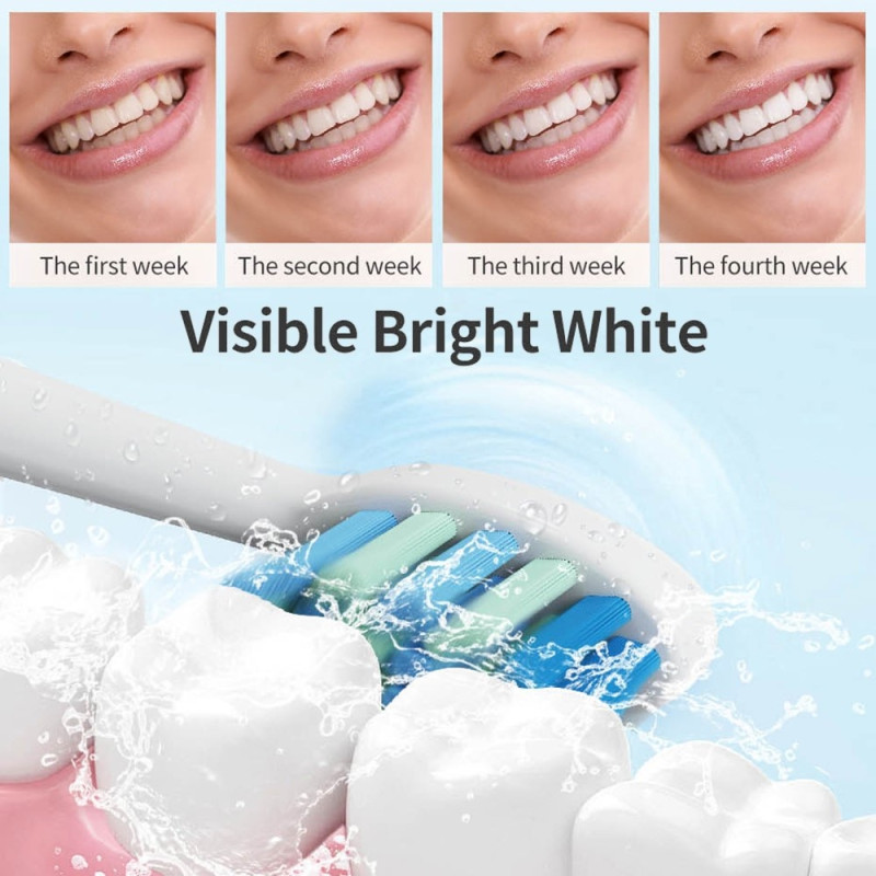 Electric Toothbrush Waterproof Rechargeable 8 brush heads - Black