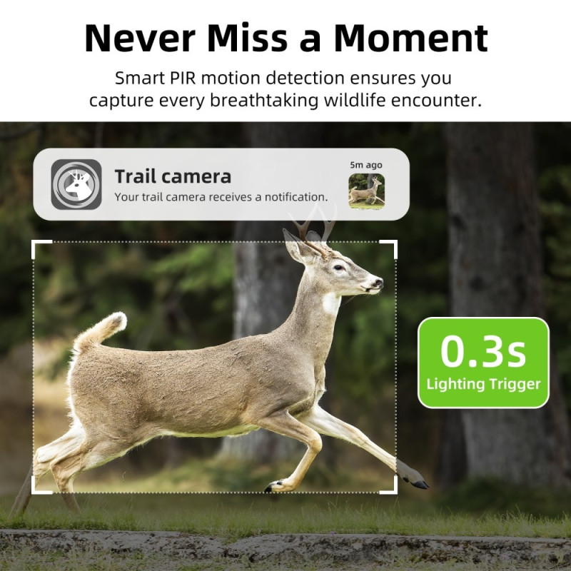 Solar 4G Trail Camera Vandtæt PIR Night Vision HD Jagtkamera