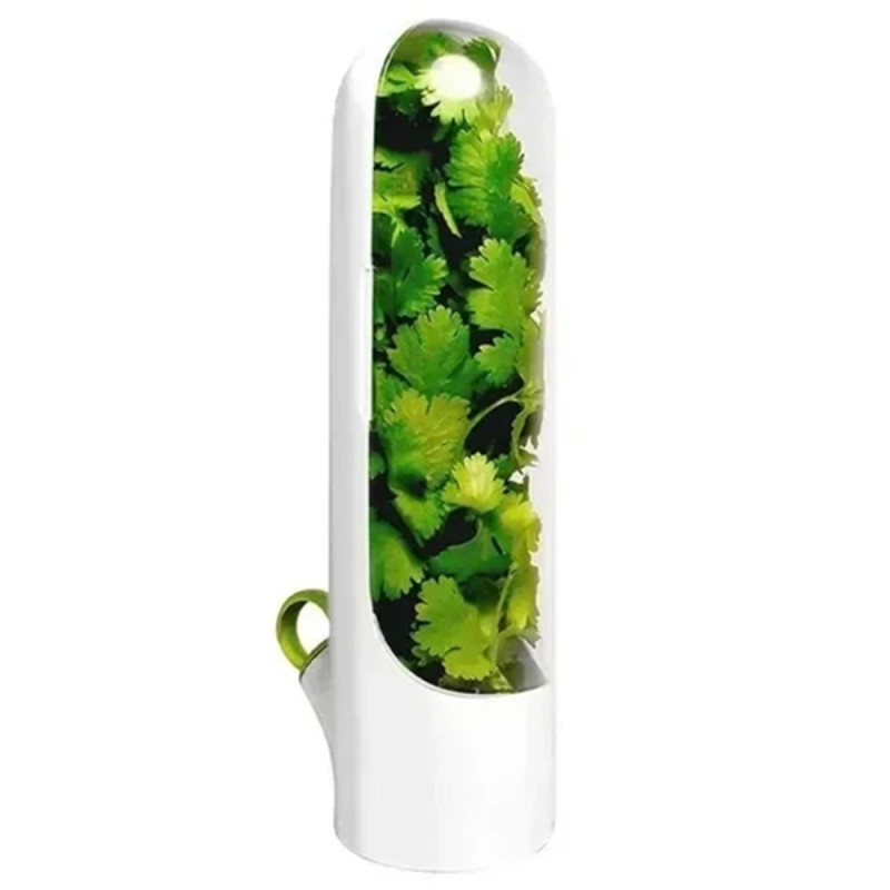 Refrigerator Vegetable Fresh Keeping Container Plants Storage