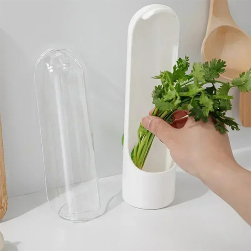 Refrigerator Vegetable Fresh Keeping Container Plants Storage