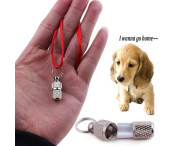 Hund Katt Anti-förlorad Förvaringsrör Taggar Halsband Hänge