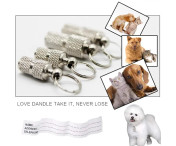 Hund Katt Anti-förlorad Förvaringsrör Taggar Halsband Hänge