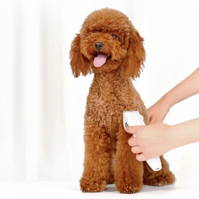 XIAOMI Pawbby elektrisk barbermaskin for kjæledyrhund