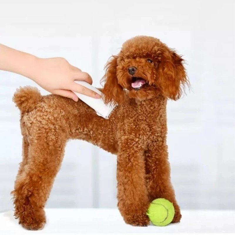 XIAOMI Pawbby elektrisk barbermaskin for kjæledyrhund