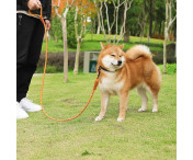 DUOMM hundkoppel i nylon läderhandtag dragrep husdjur hund