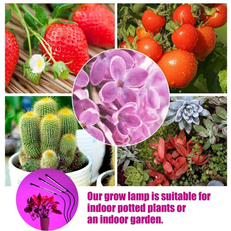 3 Head Grow Light 60 LED - pærer Plantedyrking Automatisk PÅ/AV