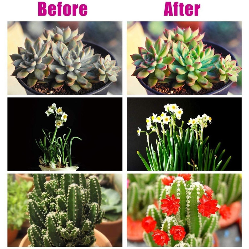 3 Head Grow Light 60 LED Bulbs Plant Growing Auto ON/OFF