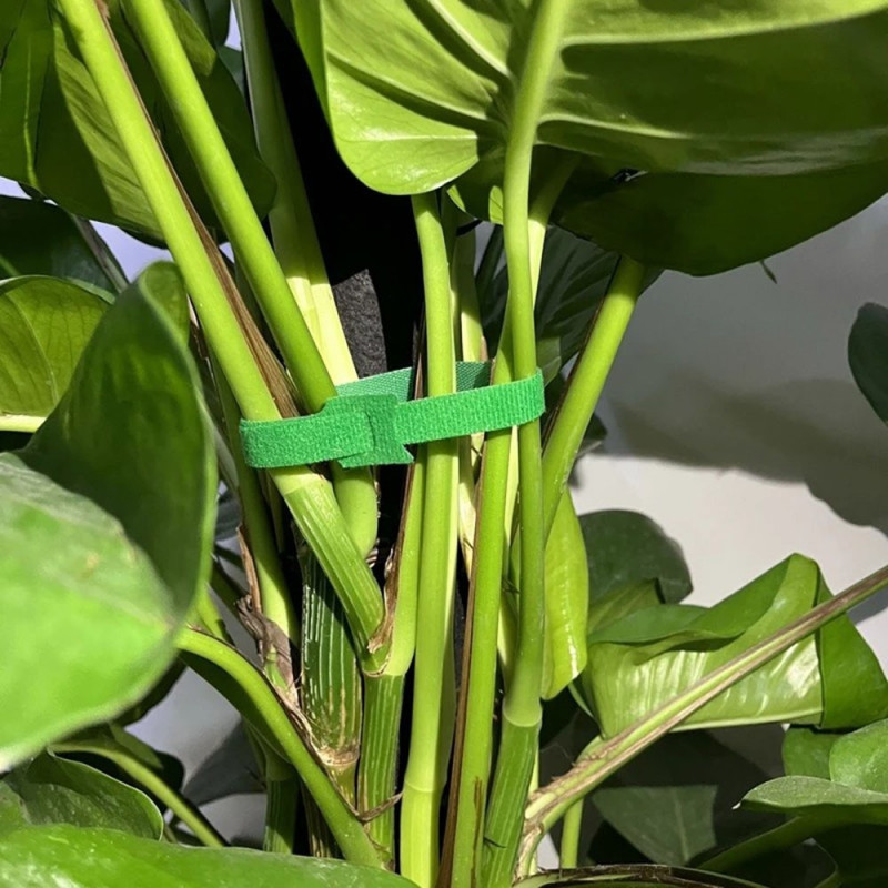 10 pcs Nylon Magic Tape Garden plant tie tape 10x1cm