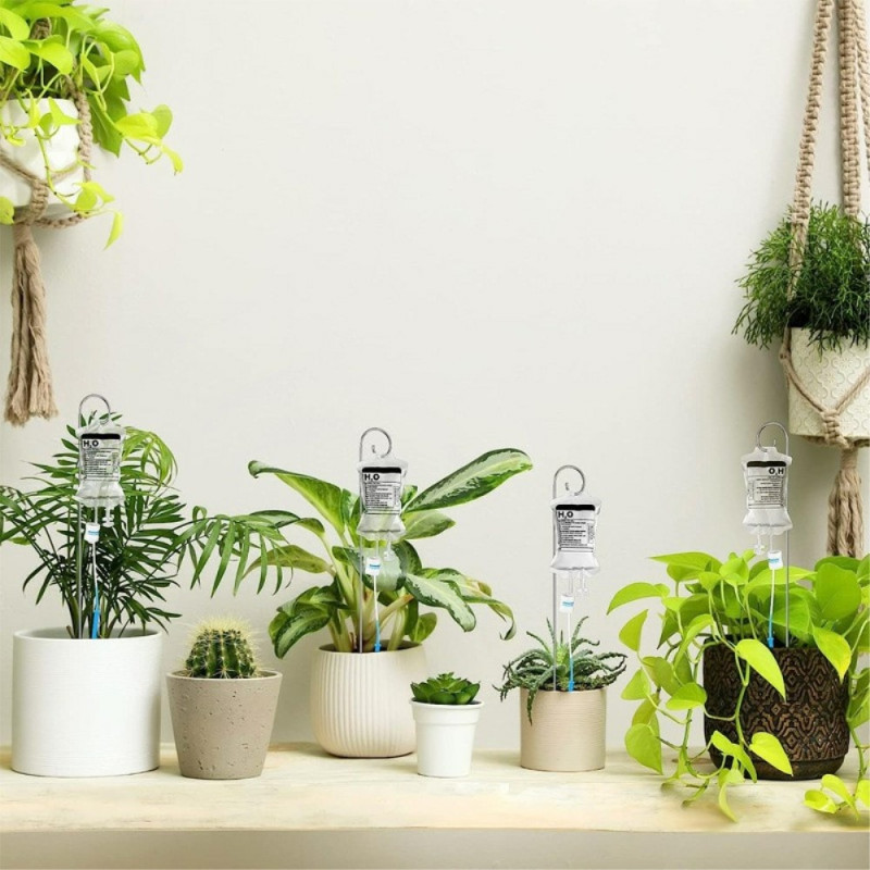 350ML posevanning Automatiske planter Selvvanning