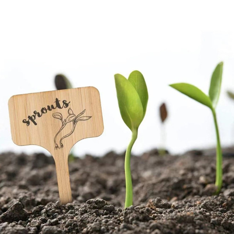 10 kpl Puutarhanhoitotarrat Kylttitunnisteet Tyhjä etiketti