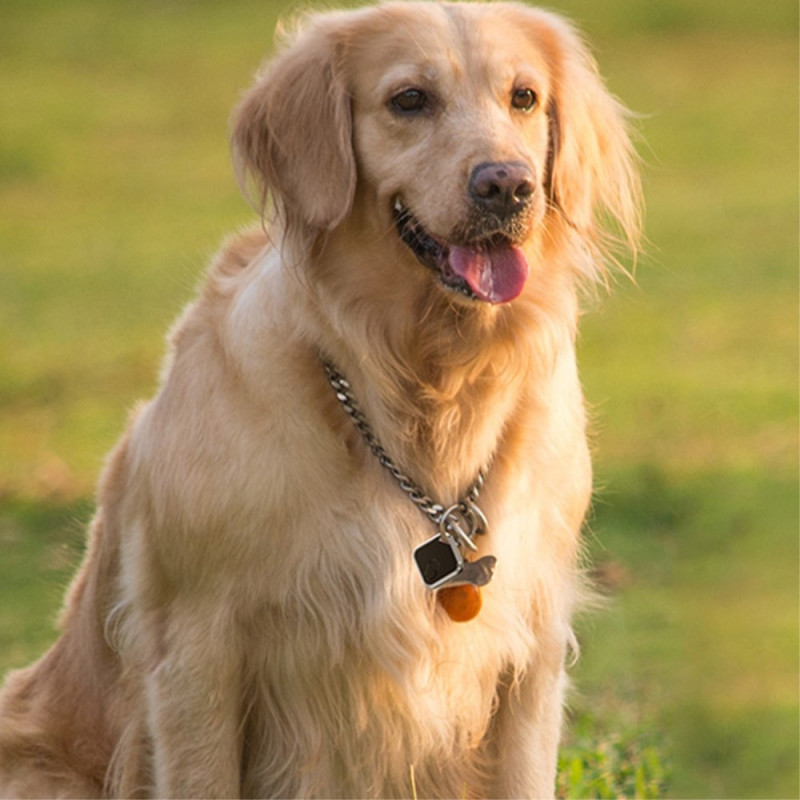 M2 Bluetooth Tracker Bilnøkkel Anti - Loss Finder - lokaliseringsenhet