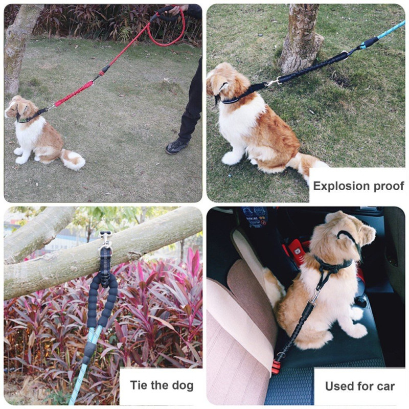 Dog belt adjustable dog harness Car belt Dog safety belt 3 - in - 1