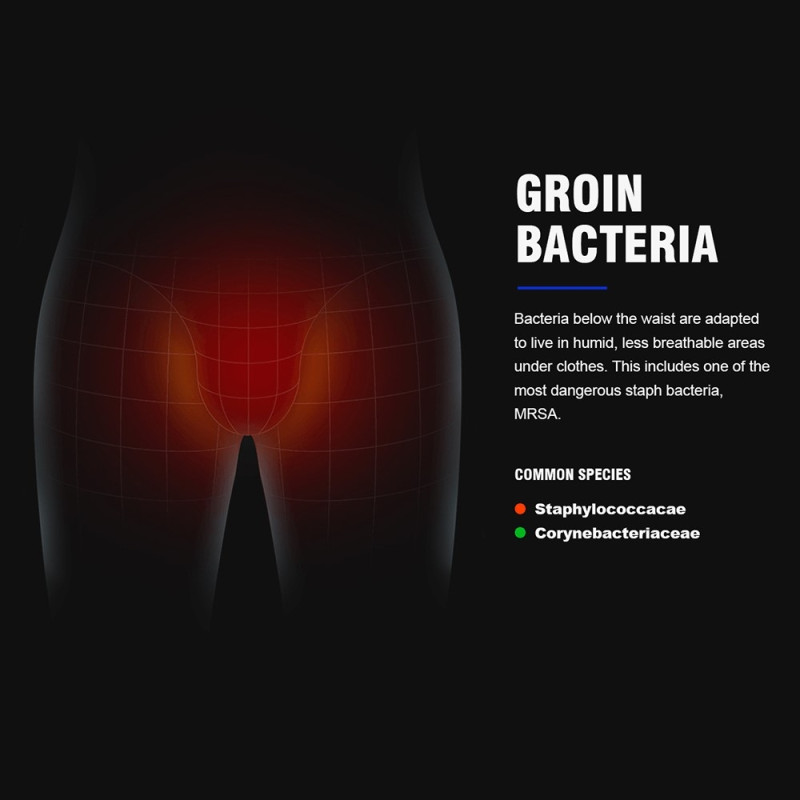 LILIPRO sähköinen vartalon karvatrimmeri LED-näytöllä varustettu yksityisosien trimmeri