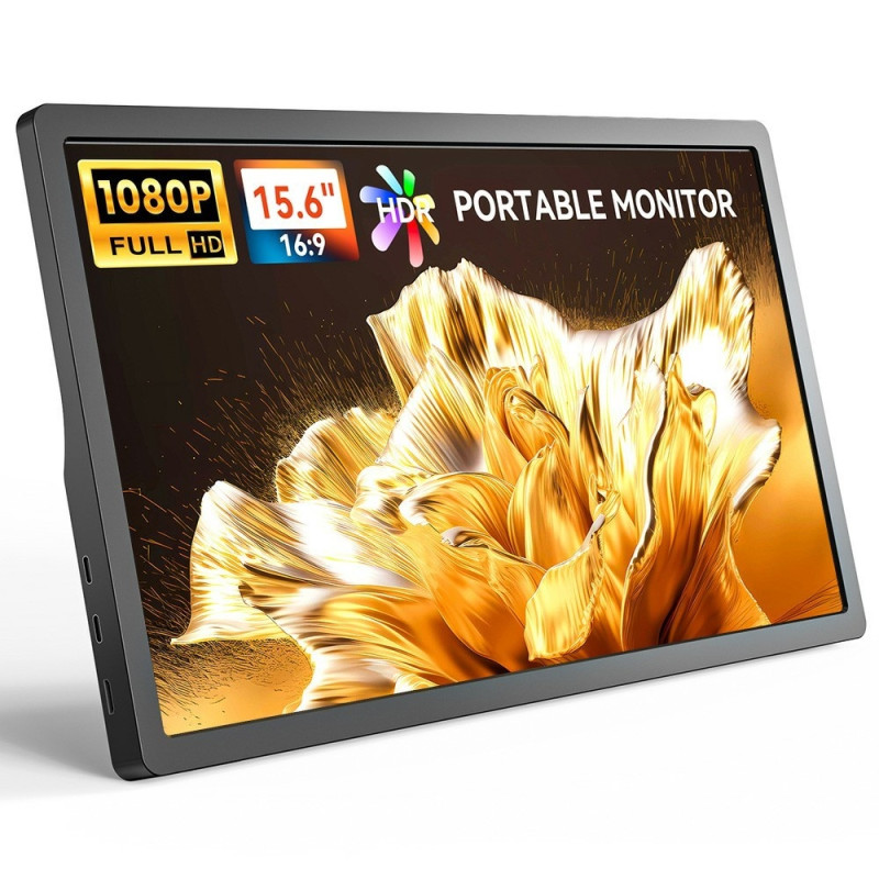 15.6 Inch Portable Screen Monitor IPS 1920x1080 Dual USB-C Full HD Display