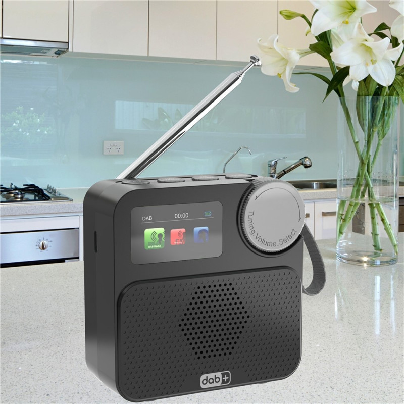 P2D 1,47 tommer Bluetooth-kompatibel bærbar DAB-radio med TF-kort MP3-afspiller