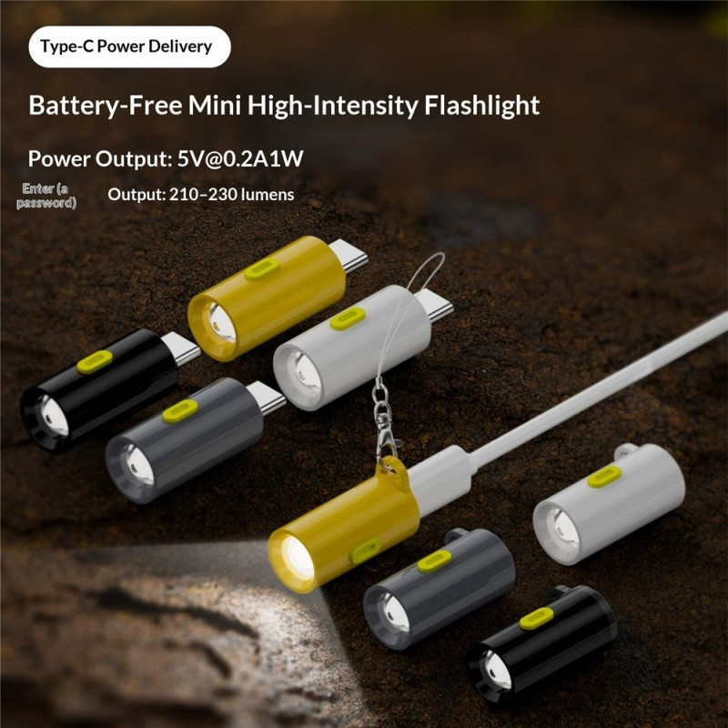 2-pakning med lommelykter: Batterifri minilommelykt med USB-C «Plug & Play», 210–230 lumen