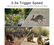 Övervaka Vilt Vilda Djur Jaktkamera 4G Fjärrövervakning Trådlös Trail Cam Kamera